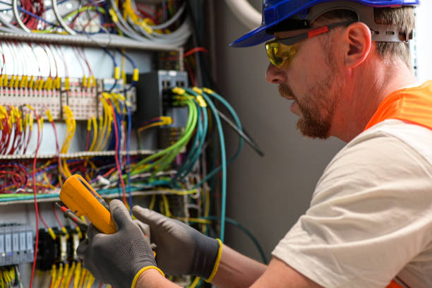Best Electrical Upgrades for Homes  in North Branch, MI